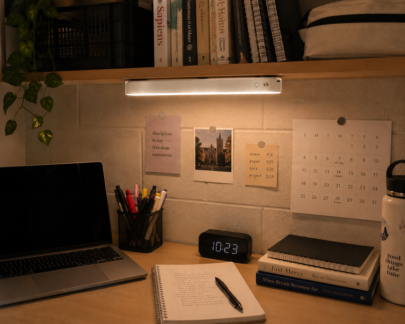 The Late Night Study Light